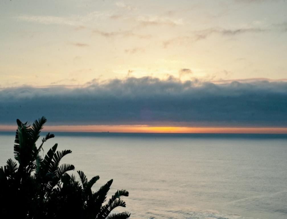 The Tides Inn Bed And Breakfast 다반 외부 사진
